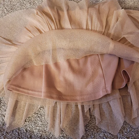 Afton Street Skirt 2T Blush Pink Sparkle Tulle Lined 4 Layers Elastic Waist - Picture 4 of 6